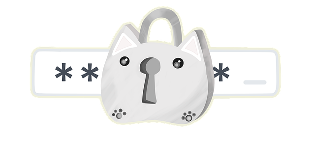 cat, lock, animal, password, enter password, login, pet, security, keys